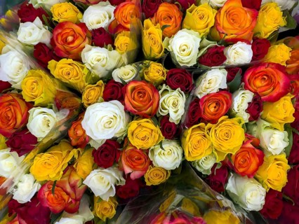 Close-up view from above of roses in bouquet Bouquet of roses with white yellow red dark red roses,