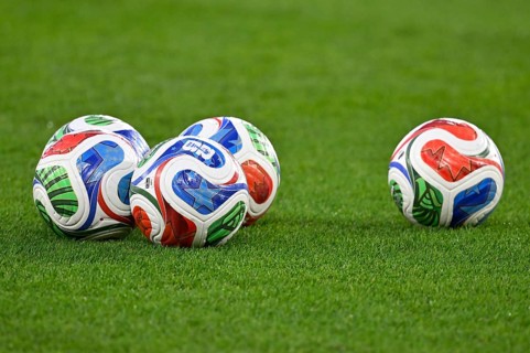 Adidas FIFA World Cup TRIONDA PRO match ball, balls are on grass soccer DFB international match