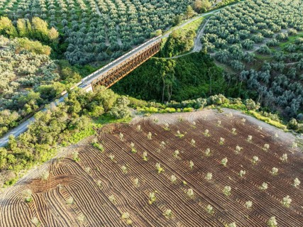 Cycle path Via Verde Del Aceite, old railroad track passes through olive fields, cycle path on