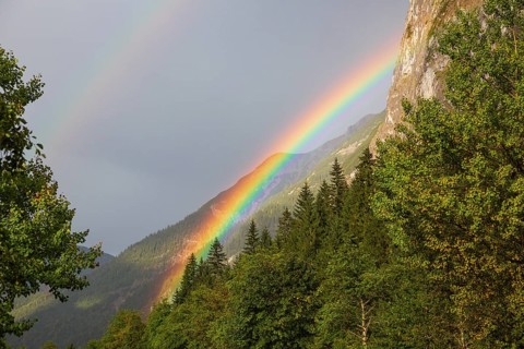 Rainbow after a thundertorm. Nature conservancy area Grosser Ahornboden. Sycamore maple trees, Acer