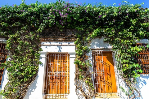 Colombia, Scenic colorful streets of Cartagena in historic Getsemani district near Walled City,