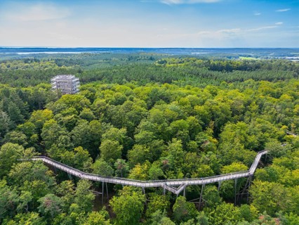 Aerial view, drone photo treetop walk, Baltic resort Heringsdorf, Usedom Island,