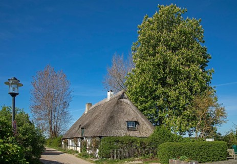 Thatched-roof house, Kastanienbaum, Sieseby, Schlei, Schleswig-Holstein, Germany