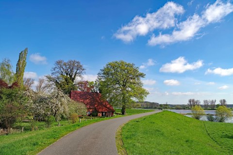 Rural scene with a house, trees and a river under a blue sky, Elbe, Damnatz, Wendland, Lower