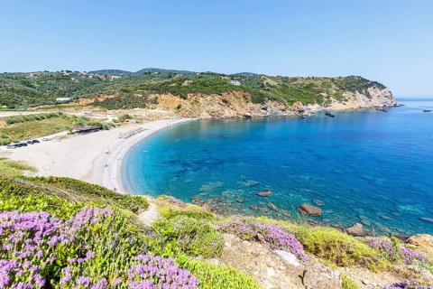 Xanemos beach holiday by the sea on the Mediterranean island of Skiathos, Greece