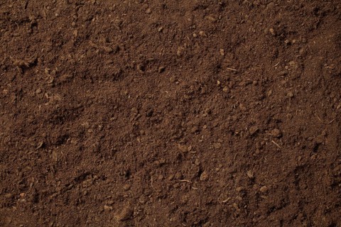 Detailed close up of rich, brown soil with fine texture, suitable for gardening, agriculture, and