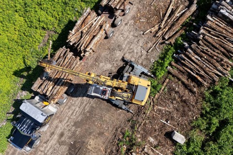 Tractor loading timber on a heavy hauler, Region of La Mauricie, Province of Quebec, Canada, North