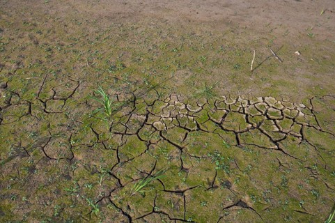 Ripped up earth in a dry carp pond, Franconia, Bavaria, Germany