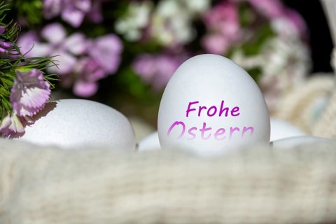 Egg with (digitally added) text FROHE OSTERN, spring flowers in the background