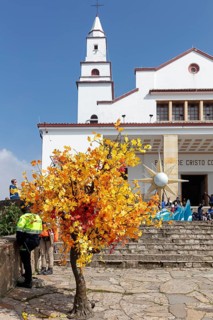 Basilica of the Lord of Monserrate, decorative tree, Bogota, Colombia
