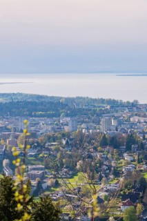 Panorama of a city with a view of the lake and surrounding countryside, Bregenz, Austria