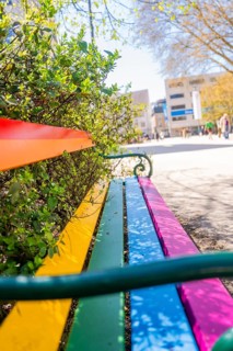Colourful bench in the park, surrounded by spring greenery and creative flair, Bregenz, Vorarlberg,