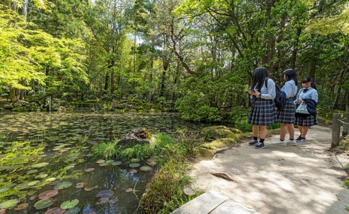 Japanese school children in uniforms visit the Tenjuan Garden, Nanzen-ji temple complex, Kyoto,
