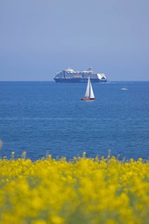Color Line ferry, sailboats, rapeseed field, Baltic Sea, Altbülk, beaches, Schleswig-Holstein,