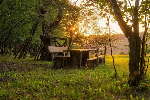 Rustic bench and table in the forest at sunset, enveloped in golden light, Calw, Black Forest,