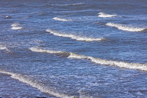 Sea, waves, surf, The Naze Nature Reserve, Walton-on-the-Naze, England, Great Britain