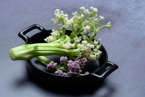 Fioretto, a cross between cauliflower and broccoli. The flowers are reminiscent of coral,