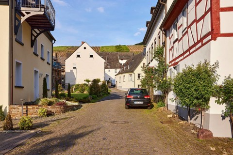 Residential area, residential building with roses (pink), apartment buildings, front gardens, car,