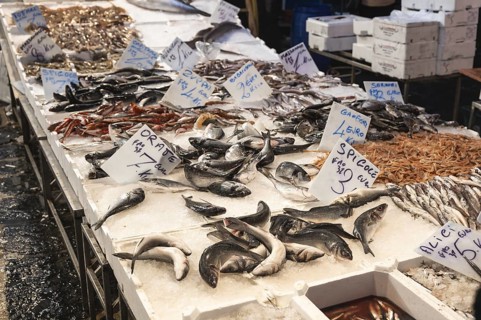 Fish and seafood at the fish market in Naples, Italy. Fish names written in Italian