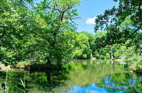 Landscape on one of the branches of the Spree in the Spreewald, UNESCO Spreewald Biosphere Reserve.