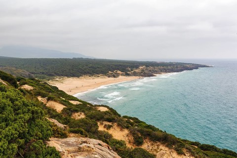 Coastline with sandy beach in natural park, view from above, Parque Natural del Estrecho, Strait of