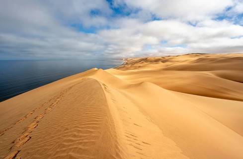 Sand dunes and sea in morning light, Atlantic coast and Namib desert, impressive desert landscape,