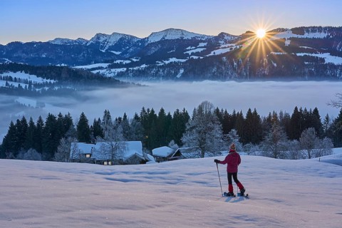 Sportive woman watching sunrise over the Nagelfluh mountain chain with Hochgrat summit in the