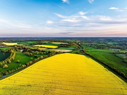Rapeseed Fields and Farms over Horsebridge nad Stockbridge from a drone, Hampshire, England, United