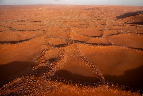 Aerial view, sand dunes with vegetation in the Namib Desert, Namib Naukluft Park, Namibia