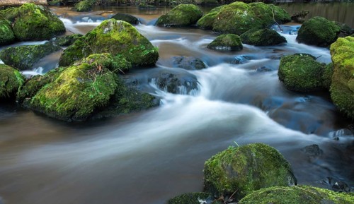 Germany, Saxony, Triebtal, rivers, landscape, atmosphere, Vogtland