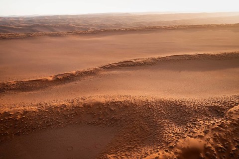 Sandy desert with Fairy Circles, circular areas, aerial view, Namib Desert, Namib Naukluft Park,