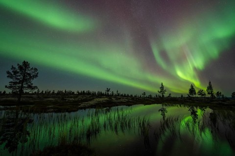 Northern Lights (Aurora borealis) reflected in a mountain lake, Norrbotten, Lapland, Sweden,