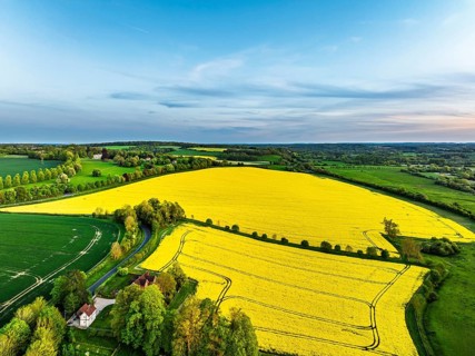 Sunset of Rapeseed Fields and Farms over Horsebridge nad Stockbridge from a drone, Hampshire,