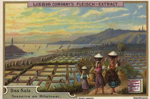 Picture series Salt, salt production in a sea salt works on the Mediterranean. In the foreground,