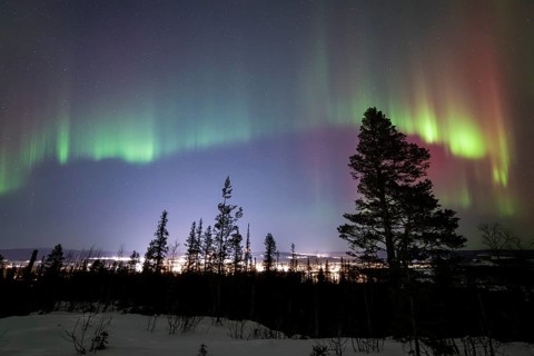 Northern Lights (Aurora borealis), Gällivare, Norrbotten, Lapland, Sweden, December 2024