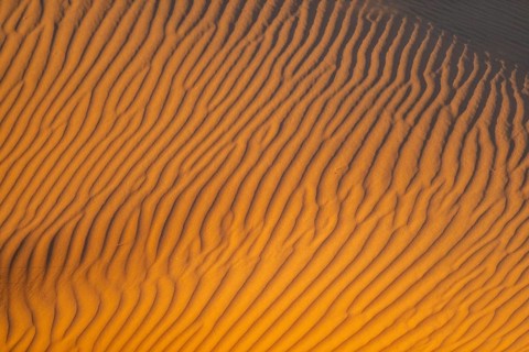Pattern, detail, sand dunes, landscape in the NamibRand Nature Reserve, Namib Desert, Namibia
