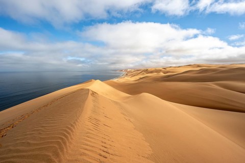 Sand dunes and sea, Atlantic coast and sandy desert with sea of dunes, Sandwich Harbour, Namib