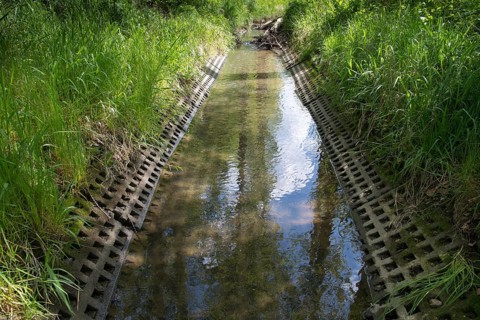 Auma, Aumatal, Germany, Greiz, Thuringia, Bach, Brook, rivers, expansion of rivers, melioration,