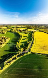Panorama of Rapeseed Fields and Farms over Horsebridge nad Stockbridge from a drone, Hampshire,