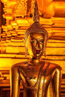 Gilded Buddha statue, Buddhist temple complex Wat Phra That Si Chom Thong, near Chiang Mai, Chiang