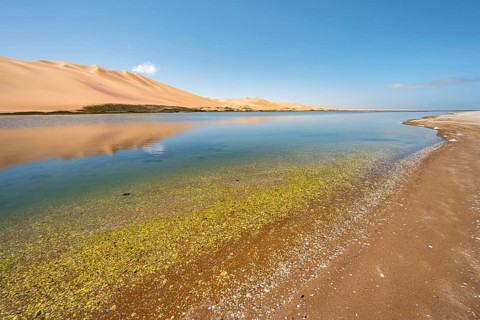 Sand dunes are reflected in Sandwich Harbour Lagoon, Impressive Desert Landscape, Namib Naukluft