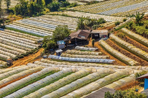 Extensive terraced fields with greenhouse crops in a hilly landscape, agricultural use in the