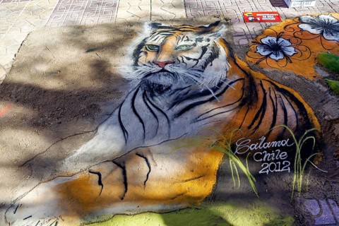 Realistic street paintings of a tiger next to flowers with an impressive level of detail, colorful