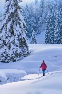 Nice and active senior woman hiking with snow shoes in deep powder snow in the Hochhaedrich area of