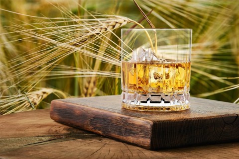 Whiskey glass on wooden board placed on dry wheat field. Light shines through glass showing golden