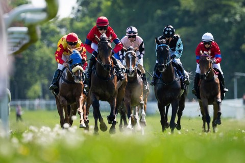 WROCLAW, POLAND - MAY 10, 2026: Horse race track WTWK Partynice. International race Group II for