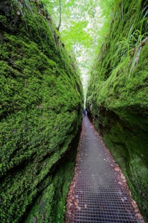 Hiking in the Dragon Gorge, gorge, hiking trail, hiking destination, fascinating, erosion,