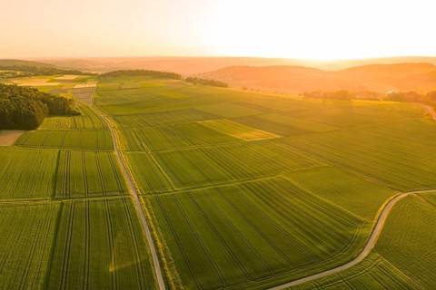 Aerial view of large fields in warm, golden sunlight, Gechingen, Hecken and Gäu region, Landreis