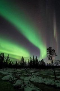 Northern Lights (Aurora borealis), Muddus National Park, Laponia World Heritage Site, Norrbotten,