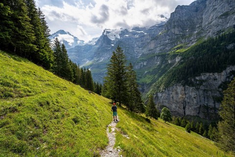 Hiker on a hiking trail on Mettlenalp, mountain panorama with Jungfrau summit, Bernese Alps,